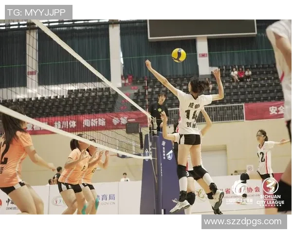 成都排球队以59分领跑联赛积分榜展现强劲实力